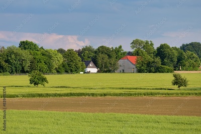 image to crop