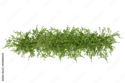 image to crop