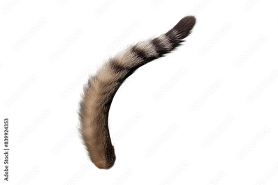 image to crop