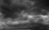 preview bw