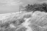 preview bw