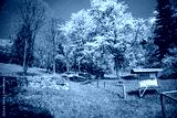 preview cold