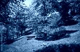 preview cold