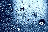 preview cold
