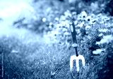 preview cold