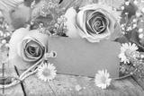 preview bw