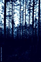 preview cold