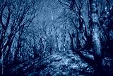 preview cold