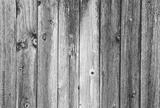preview bw