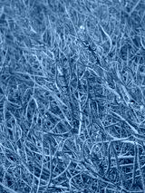 preview cold