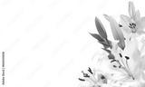 preview bw