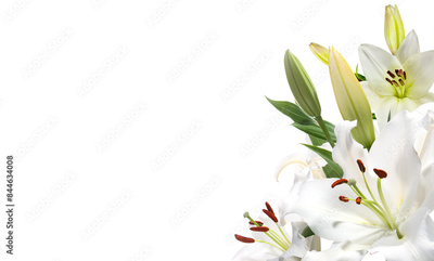 image to crop