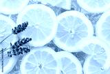 preview cold