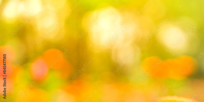 image to crop