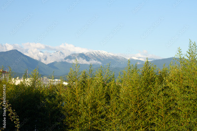 image to crop