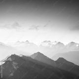 preview bw