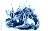 preview cold