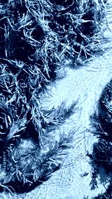 preview cold