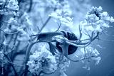 preview cold