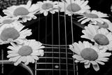 preview bw