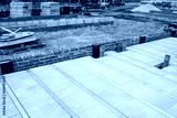 preview cold