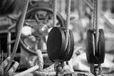 preview bw
