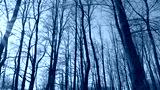 preview cold