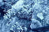 preview cold
