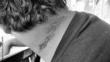 preview bw