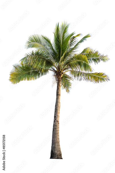 image to crop