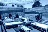 preview cold