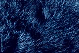 preview cold