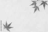 preview bw
