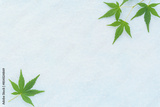 preview original