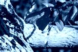 preview cold