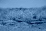 preview cold