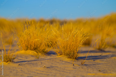 image to crop
