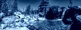 preview cold