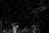 preview bw