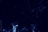preview cold