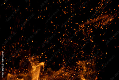 image to crop