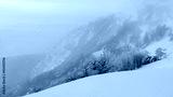 preview cold