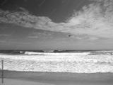 preview bw