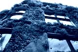 preview cold