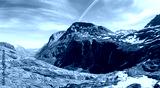 preview cold