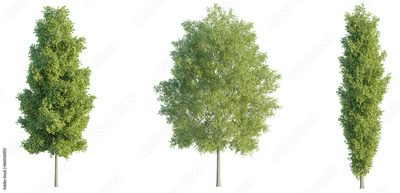 image to crop