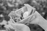 preview bw