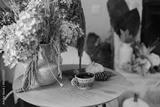 preview bw