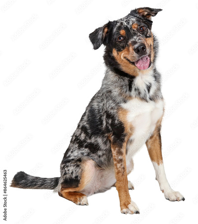 image to crop
