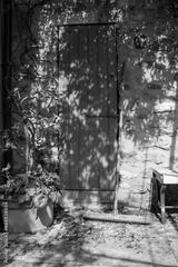 preview bw